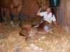 DSCF4360.jpg (74221 bytes)