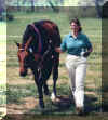 Grand Champion.JPG (24488 bytes)