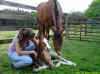 IMG00142-20110419-1608 copy.jpg (73684 bytes)